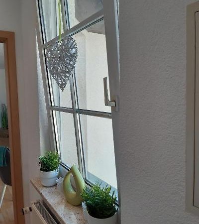 Ferienwohnung Salzmannhaus Zschopau Eksteriør billede