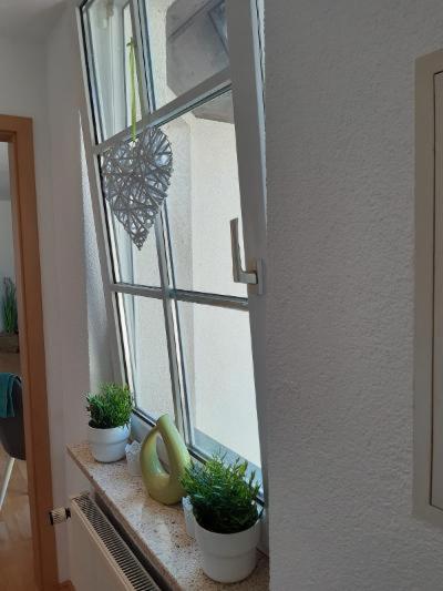 Ferienwohnung Salzmannhaus Zschopau Eksteriør billede