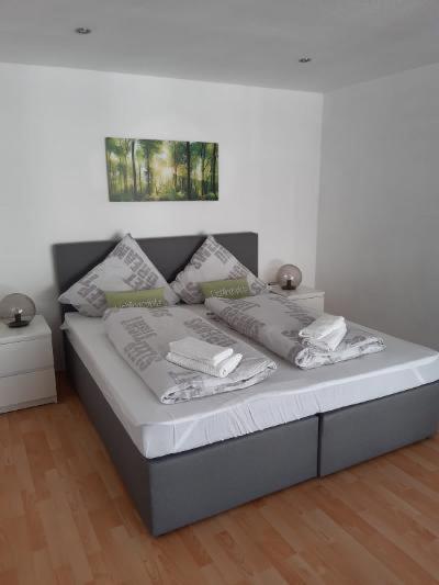 Ferienwohnung Salzmannhaus Zschopau Eksteriør billede